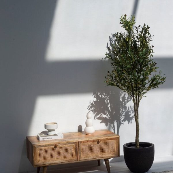 Mango Wood 2 Drawer Unit